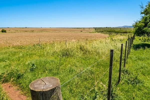 813 hectáreas. Agrícola Ganadero en Paysandú Uruguay